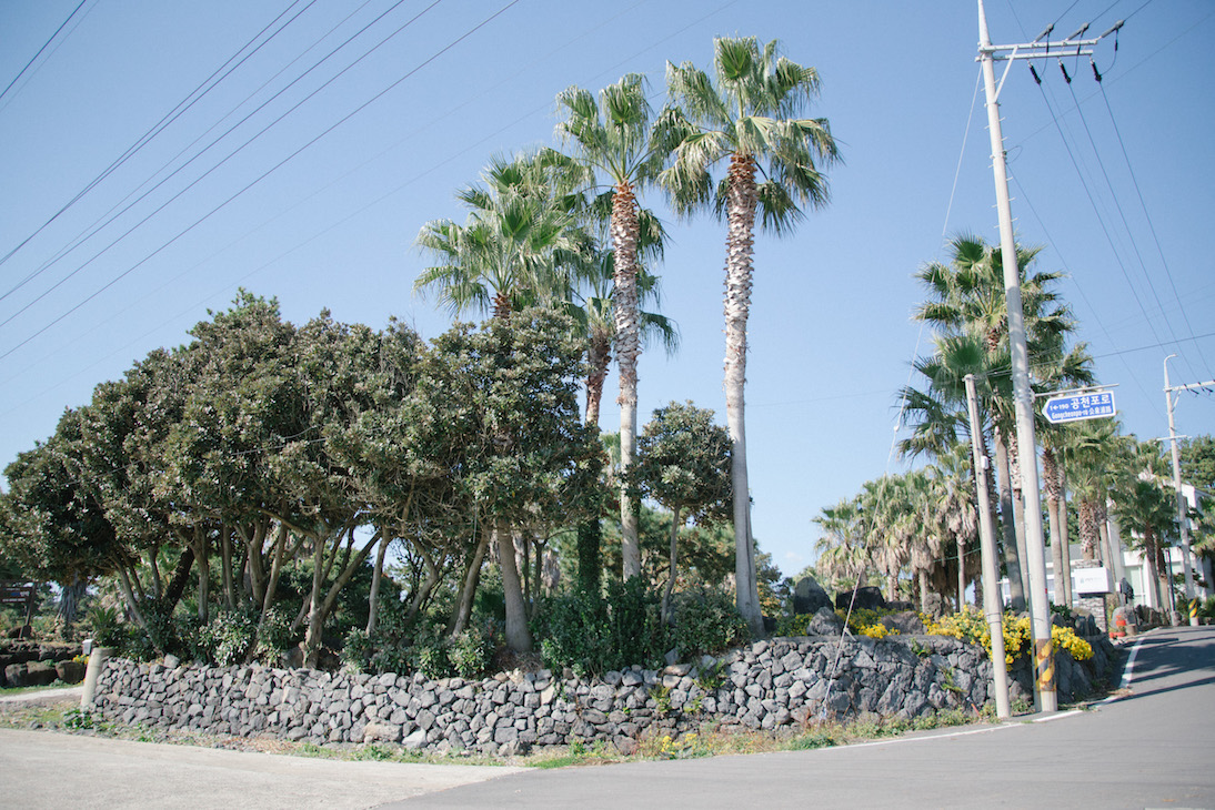 jeju_1