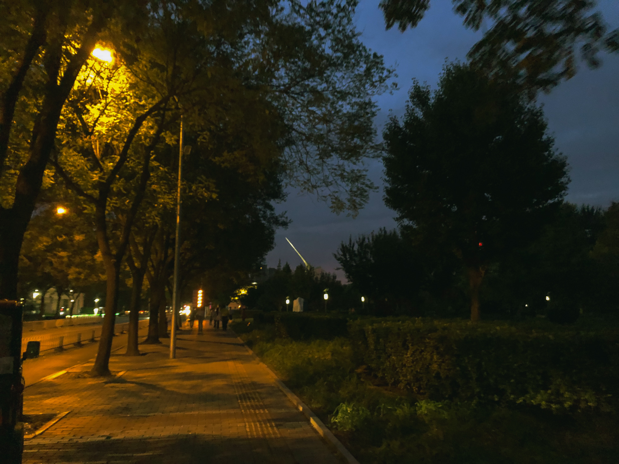2019_66