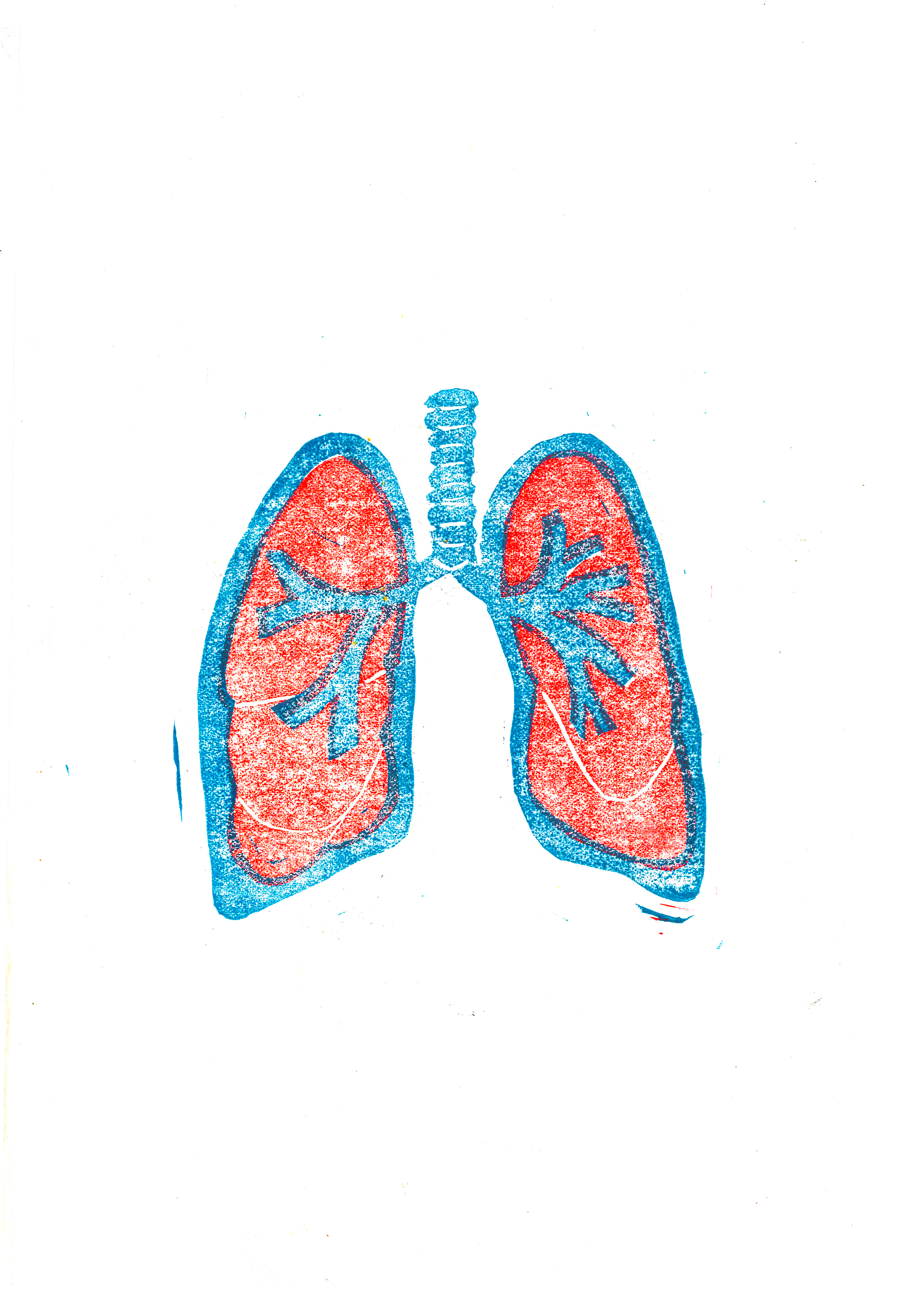 lung